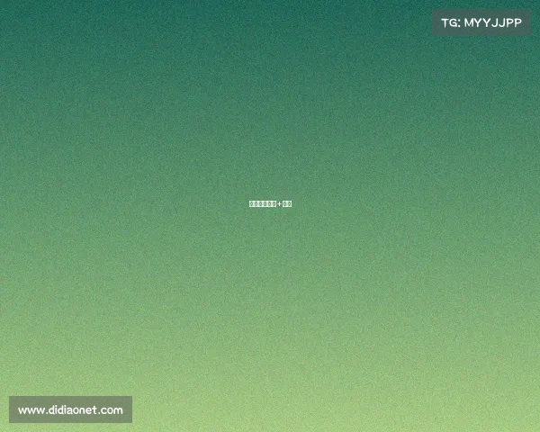 无人机互联网+项目